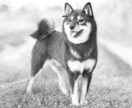 あなたの似顔絵ペット玄関風景何でも描きます 写真はあるけど絵はなかなか無いよね イメージ9