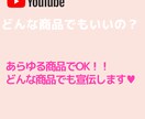 登録者30万人のYouTuberが商品をPRします あなたの商品を世界中にPRします！！ イメージ3