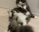 下積みの苦労を知る私があなたの味方になります 1人で頑張るあなたへ。忍耐の先にある成長をサポートします。 イメージ4