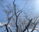 本音でお話下さいね♡心が軽くなるお手伝いをします 学生時代の淡い恋から大人な恋までなんでもお聞きします♡ イメージ1
