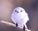 辛い記憶の感情を手放して心を軽やかにします 家庭環境、親ガチャ、毒親、親族からの暴言、ニュートラルライフ イメージ5