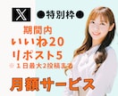 特別枠　X1ヶ月間「いいね20+RP5」します 日本人の一般アカウントの方々がいいねしていきます イメージ1