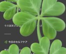 あなたがほしかった“あの声”で心を満たします いちばん安心できる声で自己肯定メッセージ をお届けします。 イメージ4