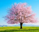 1分でも♡挨拶のみ10秒でも♡ちょこっ～と聞きます オールOK/疲れた/落ち込み/愚痴/自慢/孤独/秘密話/恋愛 イメージ2