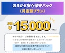 ドメイン・サーバー代込！専門家がすべて代行します おまかせ安心保守パック【毎月定額プラン】 イメージ7