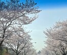 貴方の全て受け入れます 相談事、弱音を吐きたい、愚痴を言いたい、文句言いたい！ イメージ4