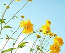 愚痴聞きます いろんな方に。どなたでもお気軽にどうぞ。 イメージ3