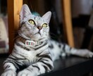 ペットのお写真をオーダーメイドアートに仕上げます あなたの大切なペットを、ファンタジーキャンバスアートに！ イメージ9