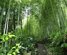 素質を知り開運UP⭐︎貴方の守護神を教えます 自分の素質や守護神が祀られている神社を知り、より豊かな人生へ イメージ2