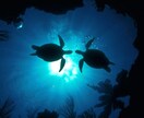 ペットの気持ちをお伝えします ペットの気持ちを聞いてみたい、ペットに気持ちを伝えたい方に。 イメージ1