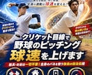 クリケット目線で野球のピッチング球速を上げます 器具・お金は一切不要！全身のバネを使う独自の投法伝授 イメージ1
