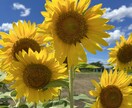 心のモヤモヤ（恋愛／親／子育て／義親等）を聞きます モヤモヤ溜め込んでませんか？爆発する前に吐き出しましょう！ イメージ1