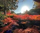 学生のゲイのお悩み相談にのります 辛い学生時代を乗り越えた秘訣を教えます！ イメージ1