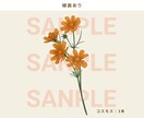 商用利用OK｜やさしいお花のイラスト制作します SNS / パッケージ / ギフト/結婚式にも イメージ5