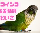 サムネイル１枚と挿入画像４枚納品します ブログで使う一式を格安で制作します！ イメージ6