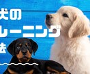 Youtubeサムネネイル作成します 視聴者様に効率よく視覚的に表現しませんか？ イメージ4