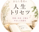 あなたのトリセツ作ります あなたの持つ数字からあなたのトリセツ作ります イメージ1
