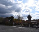 京都観光スケジュールを提案します 京都観光でルート、おすすめのカフェなどをご紹介いたします。 イメージ2