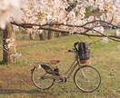 自然な笑顔を残す家族・記念写真を撮影します ご家族の思い出、大切な記念日を自然な雰囲気で写真に残します。 イメージ1