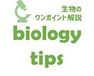 高校生物や生物基礎をわかりやすく解説します 高校生・受験生・大学生向け！院卒の研究開発者がサポートします イメージ1