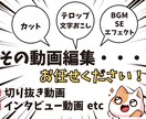 SNS用切り抜き動画の編集承ります 元テレビ局職員が丁寧に編集します！ イメージ1