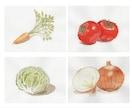 お野菜や果物、動物などのイラスト描きます 新鮮で美味しそうなお野菜や果物、また動物のイラストを描きます イメージ4