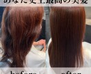 髪の毛の悩み、頭皮の悩み、ヘアケア等お答えします 現役美容師が教える！最短で髪の毛が綺麗になる方法！ イメージ2