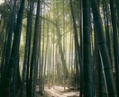 霊視◆繰り返す悩みを断ち切り、運命の流れを整えます 人生好転◆停滞する真の原因を知り、あなたの毎日を笑顔にします イメージ4