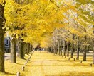 貴方好みのアイコン絵師様，画像加工師様を紹介します SNS用アイコン・ヘッダー絵師様，画像加工師様を紹介します． イメージ1