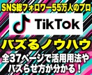 100万再生を取るTikTok運用ノウハウ教えます フォロワー10万人達成した運用経験から実践ノウハウを提供 イメージ1