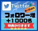Twitterのフォロワー１０００人増やします オープン記念！！販売数30人まで＋５０％増量サービス中 イメージ1