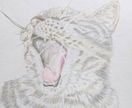 ペット肖像画を描きます ペットが愛しくてたまらない方へ。最低価格で最高の思い出を♩ イメージ3
