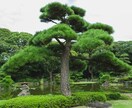 年長者限定　現役男子学生が色々な話を聞きます 昔のことを話したいなと思う人はいませんか？ イメージ1