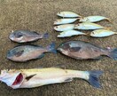 釣りに関する「あれこれ」相談乗ります 場所は？道具は？やり方は？どんな事でもご相談ください☆ イメージ5