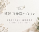 速達・再発送オプションを承ります お急ぎのお届け・再発送専用の追加対応です イメージ1