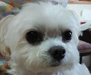 web小説の感想を書かせていただきます 作者目線or一消費者目線での作品の感想を深く追求！ イメージ1
