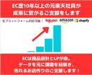 楽天などのモールやD2Cの売上UPの壁打ちします MVP受賞/元楽天社員のECのプロがご相談乗ります！ イメージ1