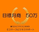 EC　これから始めたい～月商50万までます ECサイトで販売したい方から、目標月商50万前後の方 イメージ1