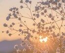 一緒にいるほど分からない夫婦関係と本音を霊視します ｜これからのお二人の未来、心を近づける方法もお伝えします イメージ3