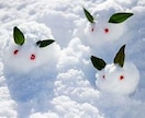 長期間や長編の方限定☆特別枠となります 購入前に枠をご用意制です～*DMお気軽に～* イメージ1