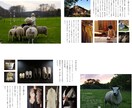 洗練された「シンプル＆上質」なチラシ制作します 【先着5名様限定・実績作り価格】展示会・ショップ・サロン向け イメージ7