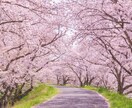 お話しませんか？そのままのあなたを受け止めます 楽しいひとときを一緒に過ごしましょう。 イメージ2