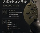 越境EC戦略を相談｜現役セラー対応します 売上につながる戦略を一緒に考えます イメージ3