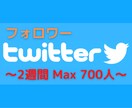 Twitterフォロー作業２週間行います あなたの代わりにアクティブユーザーをMax700人フォロー！ イメージ1