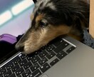 あなたの「生きる」に寄り添います 周りに理解されない生きづらさ、取り除きます イメージ1
