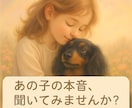 大切なペットとの絆を整える魂のリーディング致します 虹の橋の子も、今そばにいる子も心がほどける対話をします。 イメージ1