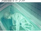 柔らかい色彩のイラスト制作します 【最短即日】繊細な色使いと表情を大切にしています イメージ6