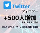 Twitter☆鬼拡散フォロワー500人増やします 安心の保証付☆＋500人 2,000円☆でご提供中！！ イメージ1