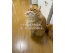 ひと息つきたい時、お話相手になります 「1分だけ」「少し聞いてほしい」も大歓迎♪ イメージ2