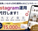 Instagramの運用代行いたします 集客・売上につながるSNS運用をご支援! イメージ1